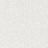 Потолочная плита AMF Feinstratos VT-24  600х600х15