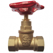 Клапан запорн латунь 15б1п Ду 20 Ру16 ВР/ВР STC 0200
